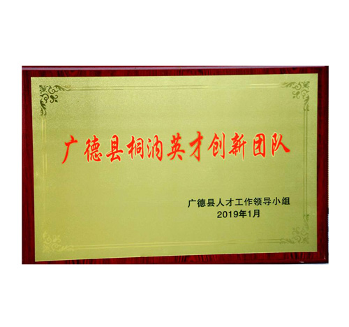 Guangshengde Talent Innovation Team Certificate